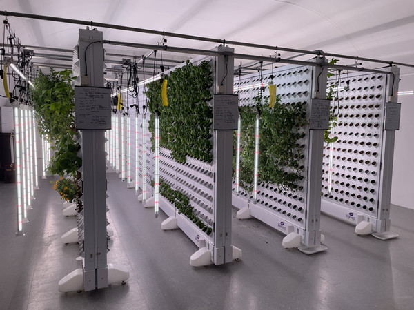 With Joshua Pearce at ICFAR by Adia Shadd 2